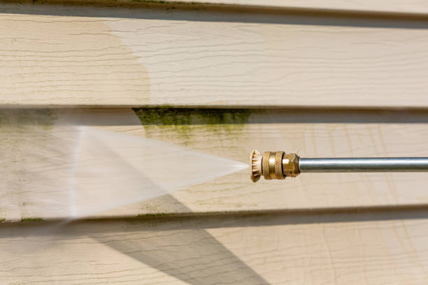 Best Local Pressure Washing Services  in Mendota Heights, MN